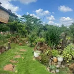 Bán nhà vườn 500m² có hồ cá Koi tại Ymoan, Cần Giờ - Ảnh thu nhỏ 3