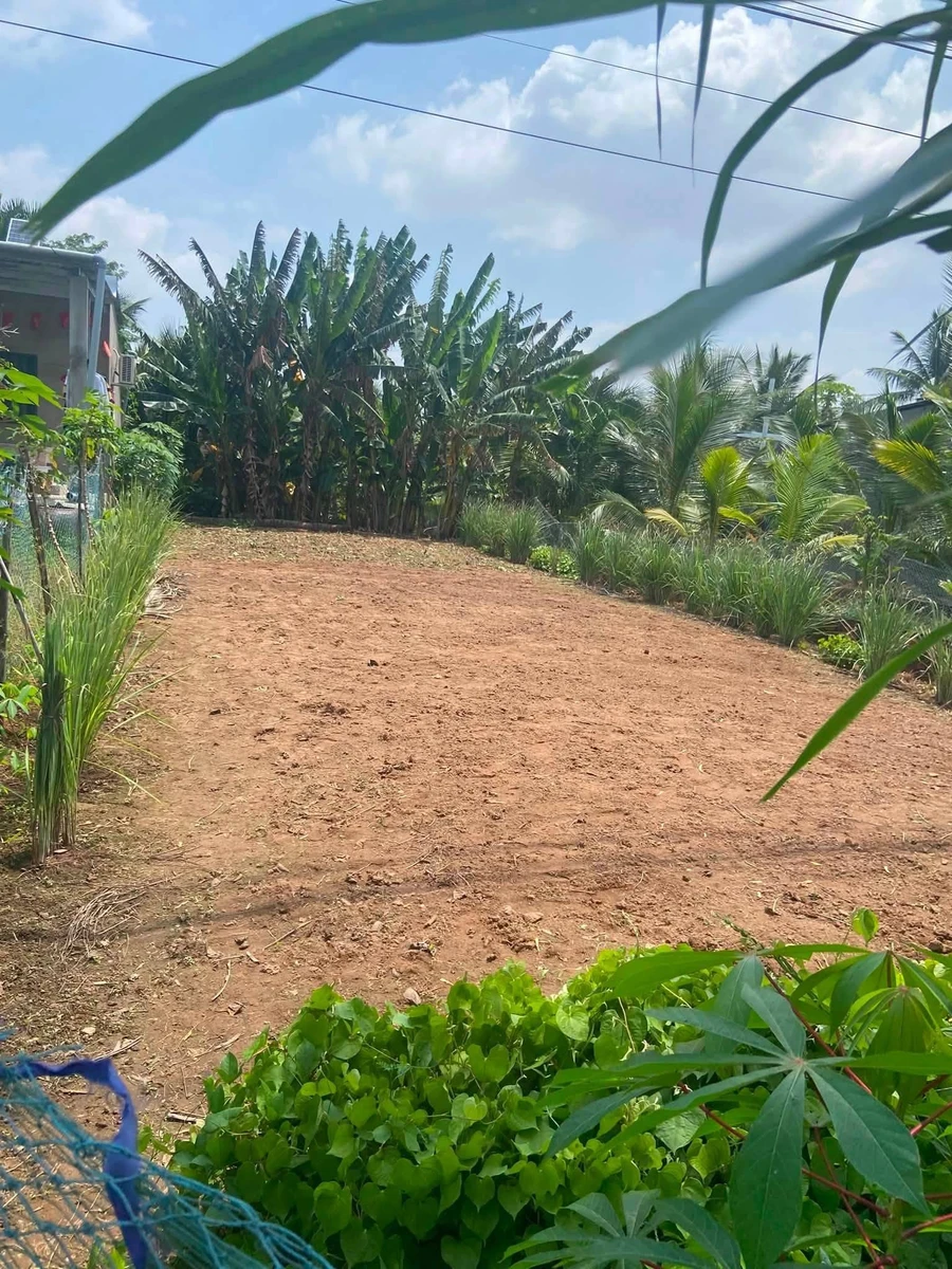 Bán nền 7,5x26m (195m²) mặt tiền lộ nhựa Nhà Bè 550 triệu - Ảnh thu nhỏ 2