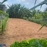 Bán nền 7,5x26m (195m²) mặt tiền lộ nhựa Nhà Bè 550 triệu - Ảnh thu nhỏ 2