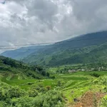 Bán đất Ngũ Chỉ Sơn Sa Pa 3.000m² 4,2 tỷ - Ảnh thu nhỏ 3