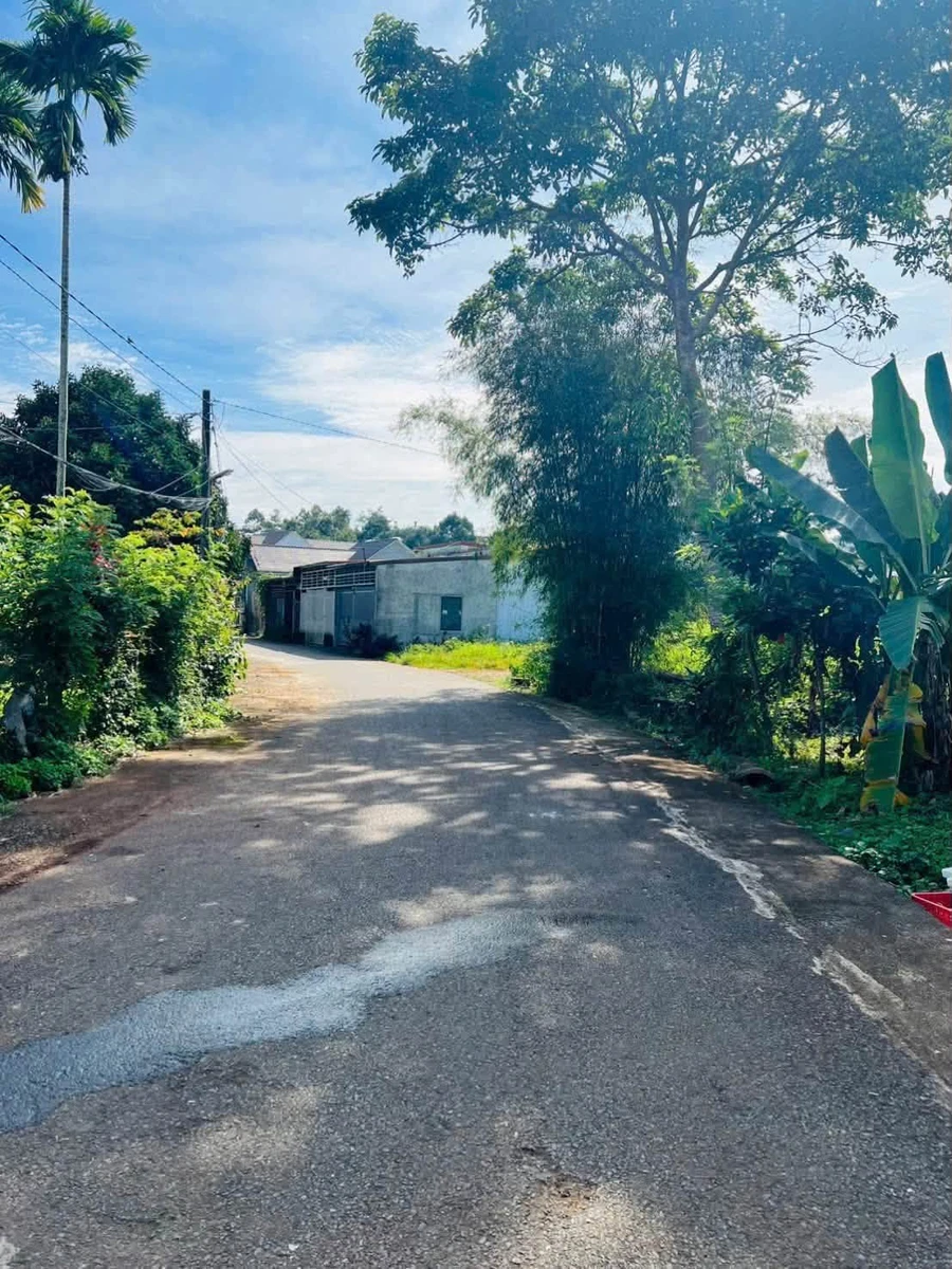 Bán đất nền 8x22 (176m²) Chu Văn An, Bảo Lộc - 1,9 tỷ - Ảnh thu nhỏ 2