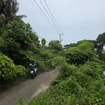 Bán đất tại phường 5, Sóc Trăng, 1,3 tỷ, 727m2, view đẹp, giá ưu đãi - Ảnh thu nhỏ 3