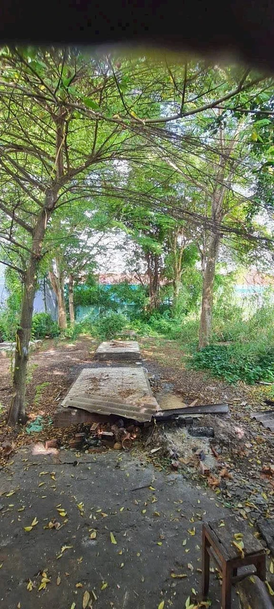 Bán đất mặt tiền Nguyễn Văn Chánh 500m² Tân An, Tiền Giang - Ảnh thu nhỏ 4