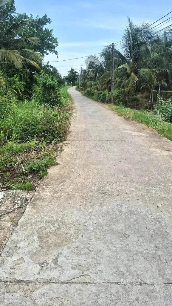Bán đất 1000m² Hiệp Thạnh, Châu Thành, Long An 1 tỷ 100 triệu - Ảnh 1