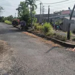 Cần bán đất Thị Trấn Mỹ Thọ - Cao Lãnh - Ảnh thu nhỏ 3