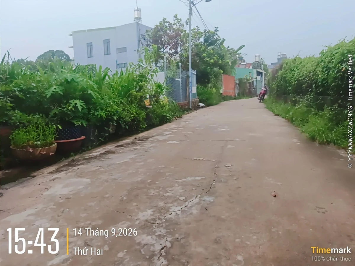 Bán đất Định Hòa (nay Chánh Hiệp), Thủ Dầu Một, Bình Dương - Ảnh thu nhỏ 5