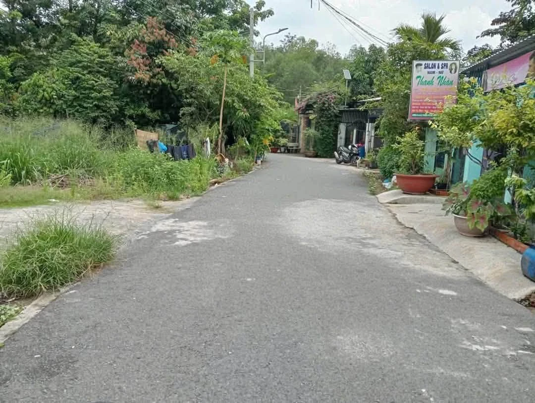 Bán lô đất 7000m² Phú An, Thủ Đức, giá 1 tỷ 1 - Ảnh thu nhỏ 2