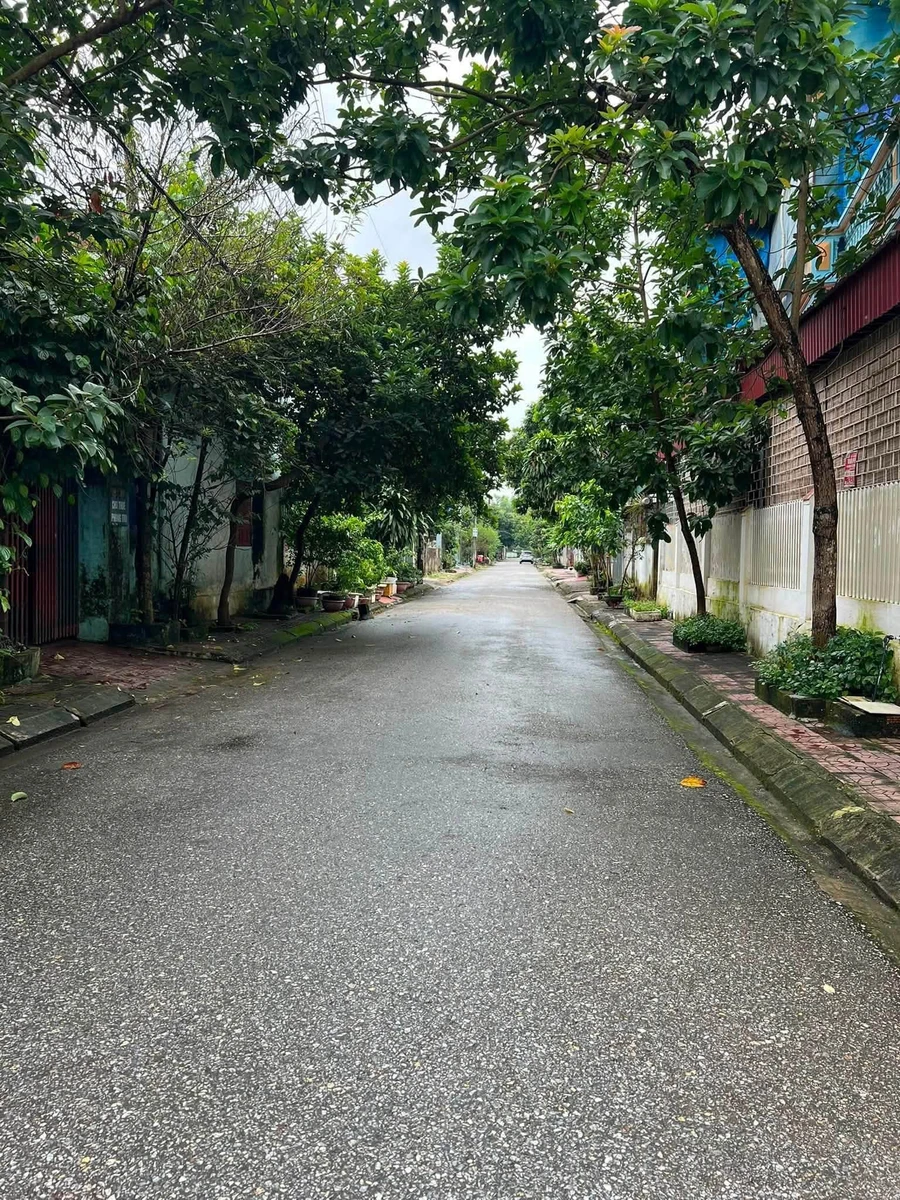 Bán lô đất 150m² Phố 10, Thanh Bình, Bình Tân - Ảnh thu nhỏ 3