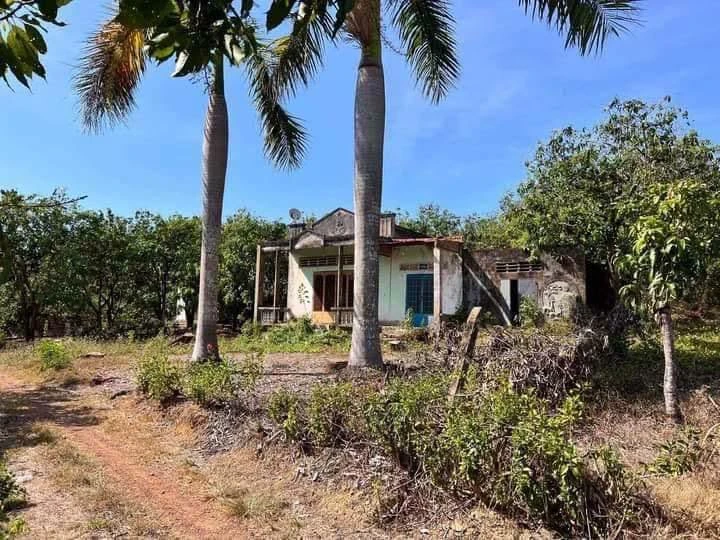 Bán đất vườn 1711 m² gần hồ Trị An, Đồng Nai