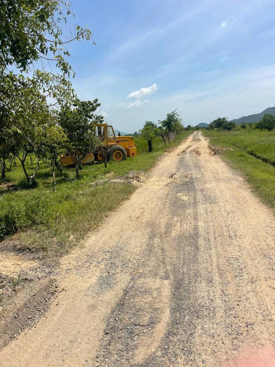 Bán 2000m2 đất cây trồng lâu năm Hàm Thuận - Ảnh 1