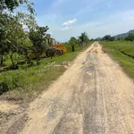 Bán 2000m2 đất cây trồng lâu năm Hàm Thuận - Ảnh thu nhỏ 1