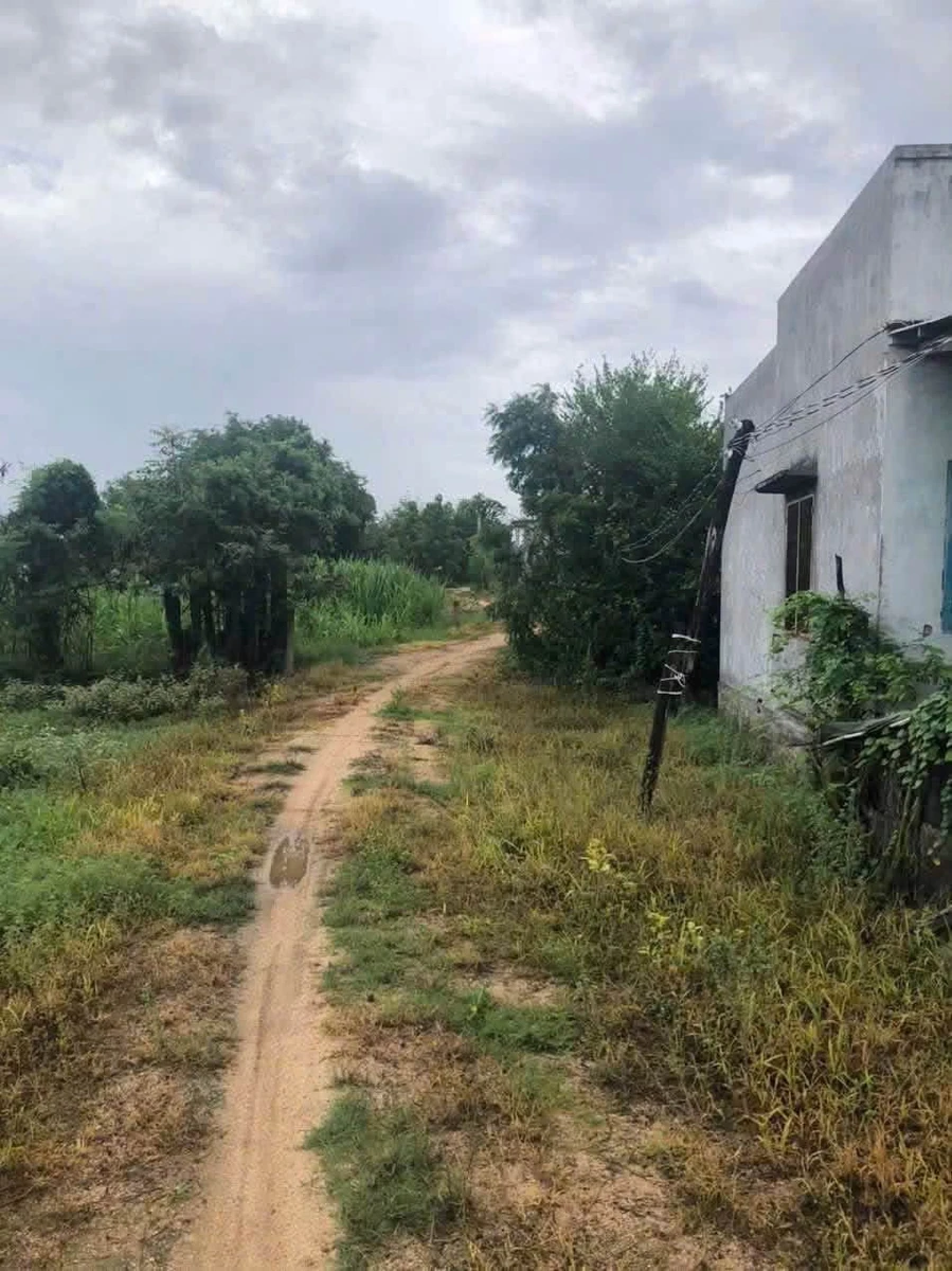 Bán lô đất vườn 6325m² tại Ninh Phước, Khánh Hòa - Ảnh thu nhỏ 2