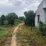 Bán lô đất vườn 6325m² tại Ninh Phước, Khánh Hòa - Ảnh thu nhỏ 2