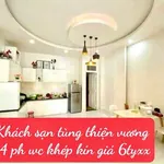Bán khách sạn 4 tầng 14 phòng, 116m2, đường Tùng Thiện Vương, Huế, 6 tỷ - Ảnh thu nhỏ 5