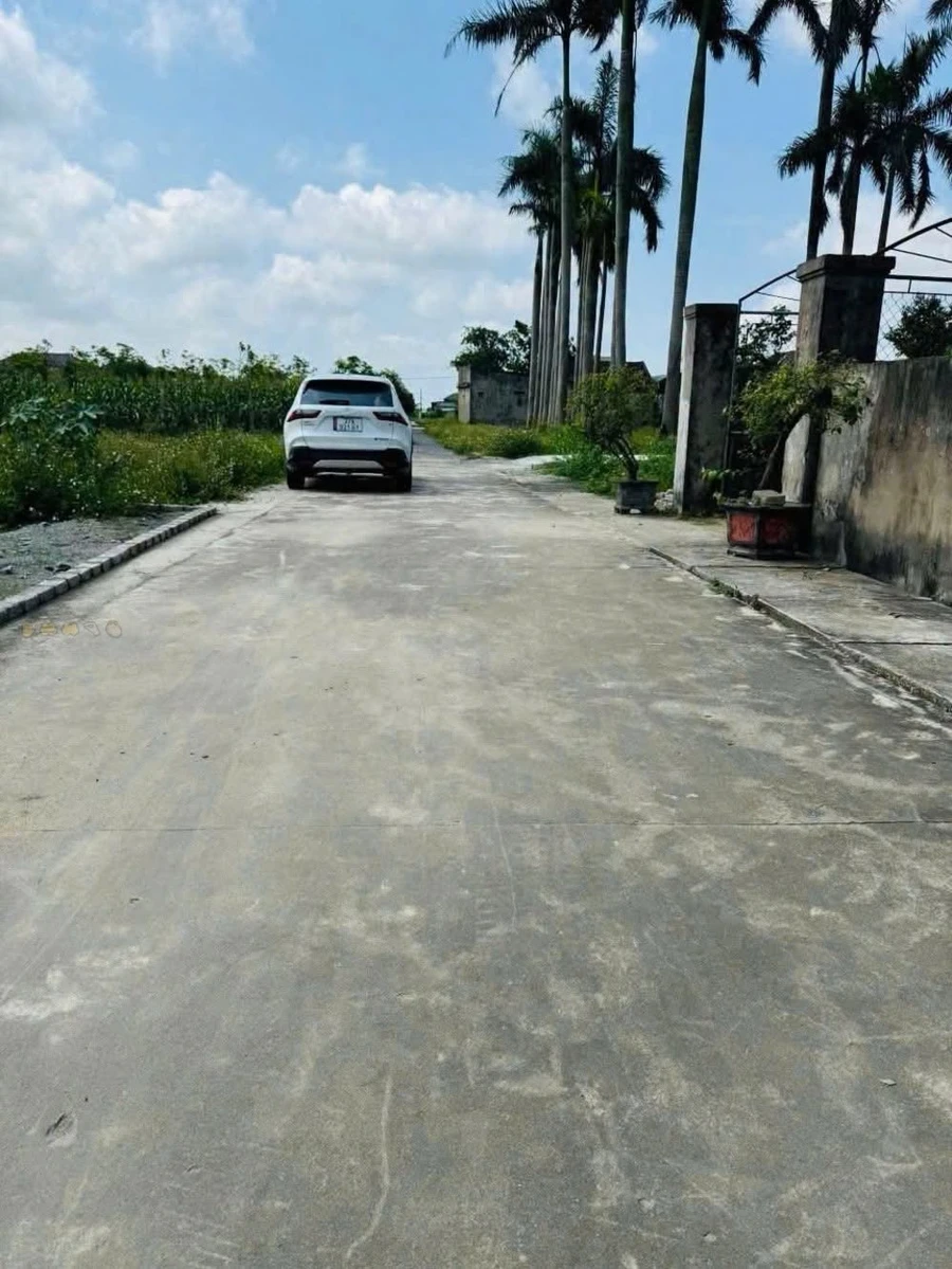 Bán đất thổ cư 112m2 Hồng Liên, Nghi Liên 1 tỷ 9xx - Ảnh thu nhỏ 3