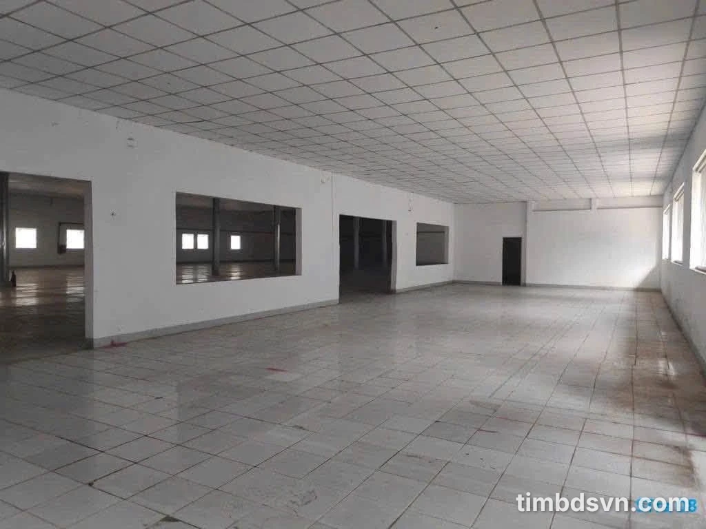 Cho thuê kho 1.700m² Phan Huy Ích, Tân Bình, 170 triệu/tháng - Ảnh 1