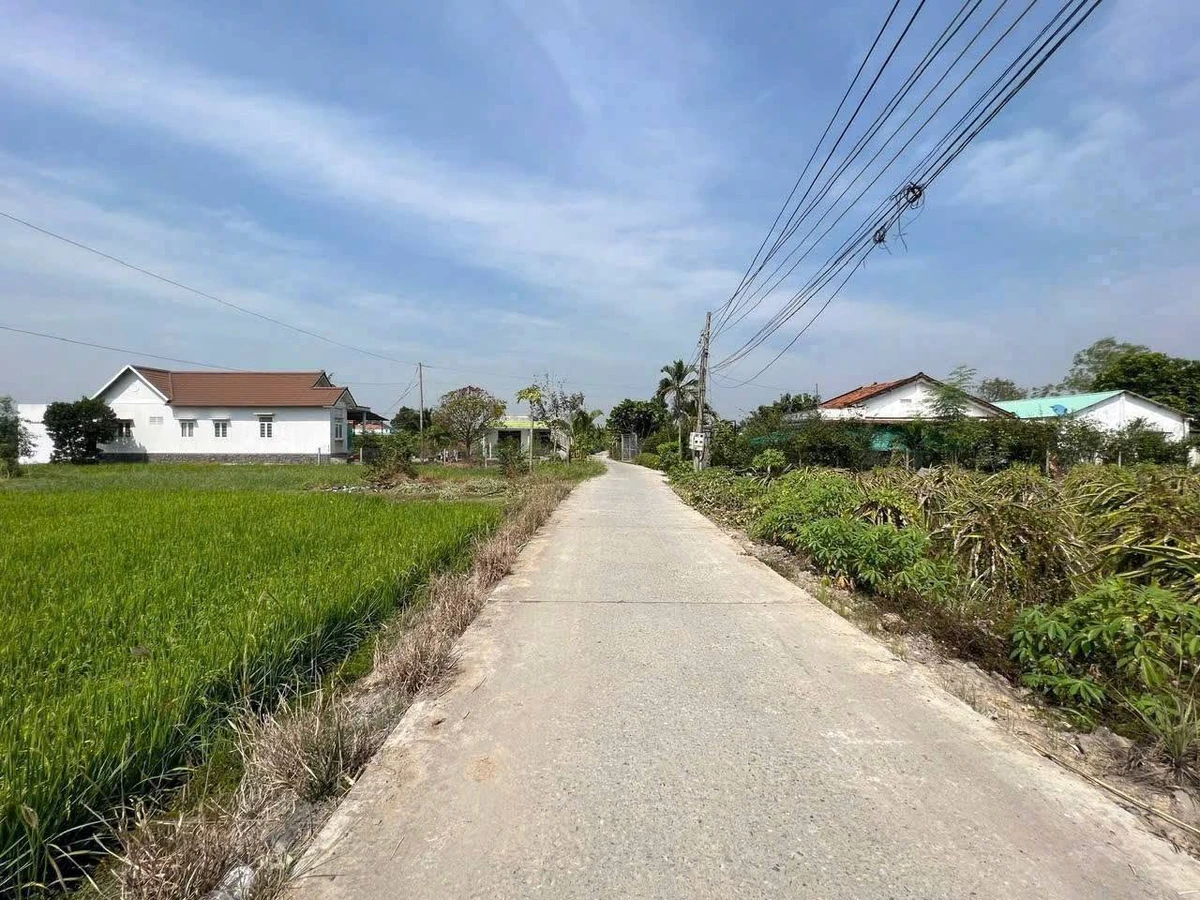 Bán 2 nền thổ cư 150m2 tại Thạnh Đức, Bến Lức, Long An - Ảnh thu nhỏ 3