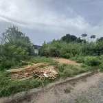 Bán đất tại Phường Mỹ Thạnh, thành phố Long Xuyên (nay là phường Mỹ Thới), tỉnh An Giang - Ảnh thu nhỏ 6