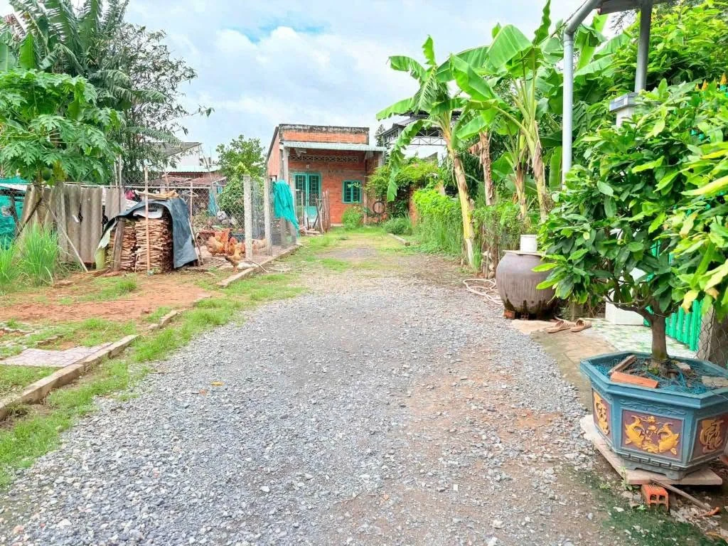 Bán đất thổ cư 5x20m (100m2) giá 600 triệu tại Long Hiệp - Ảnh 1