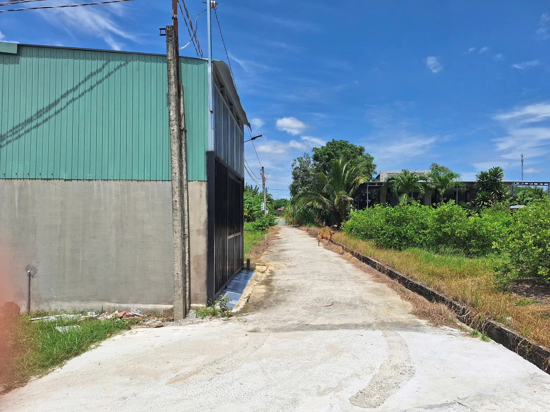 Bán đất 10x18m (180m²) gần KCN Phước Đông, Tây Ninh, 450 triệu - Ảnh 1