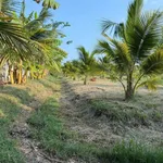 Bán 1500m² đất cây trồng Xã Hàm Liêm, Lâm Đồng - Ảnh thu nhỏ 3