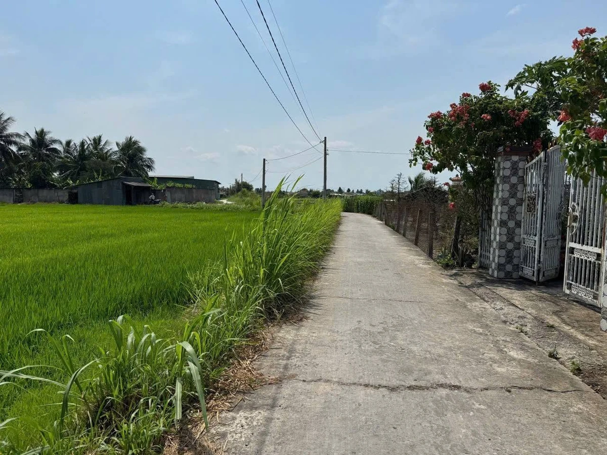 Bán đất thổ cư 150m² Đức Tân, Tân Trụ, Long An giá 399 triệu - Ảnh thu nhỏ 2