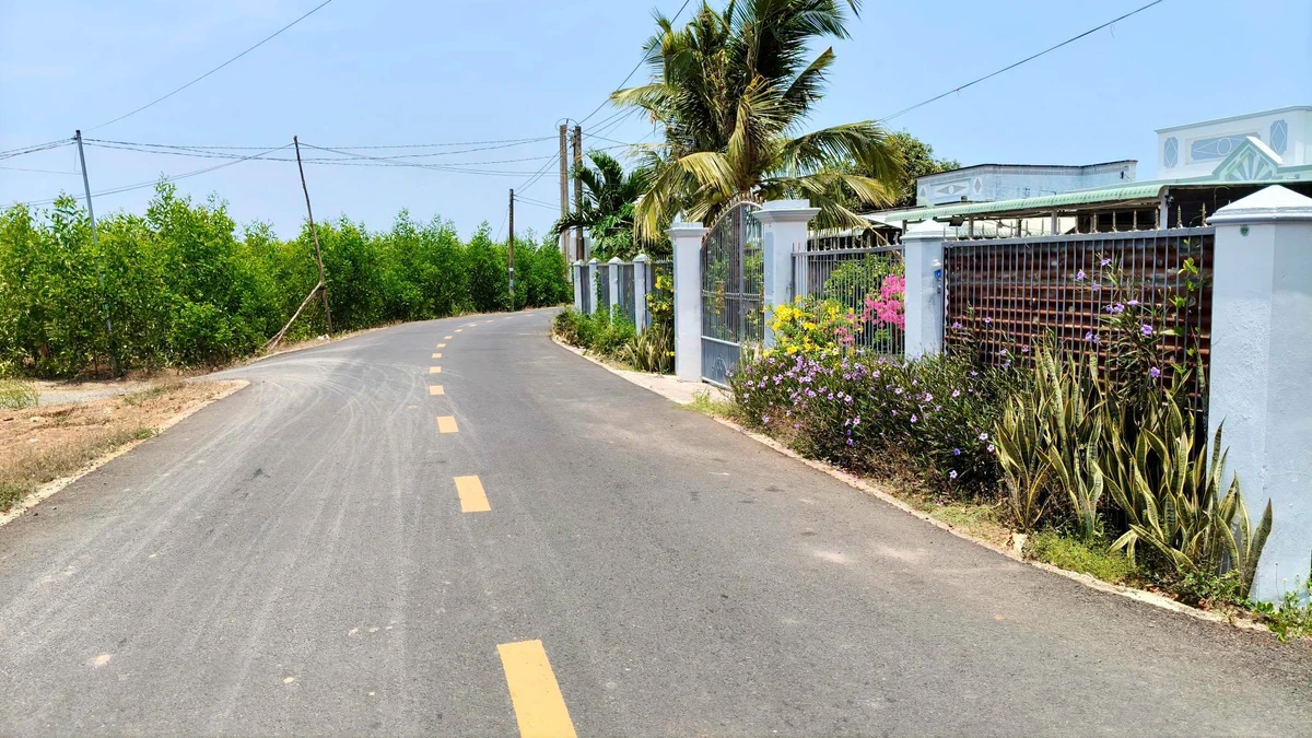 Bán đất 152m2 đường Nguyễn Huệ, Xã Đất Đỏ, 785 triệu - Ảnh thu nhỏ 2