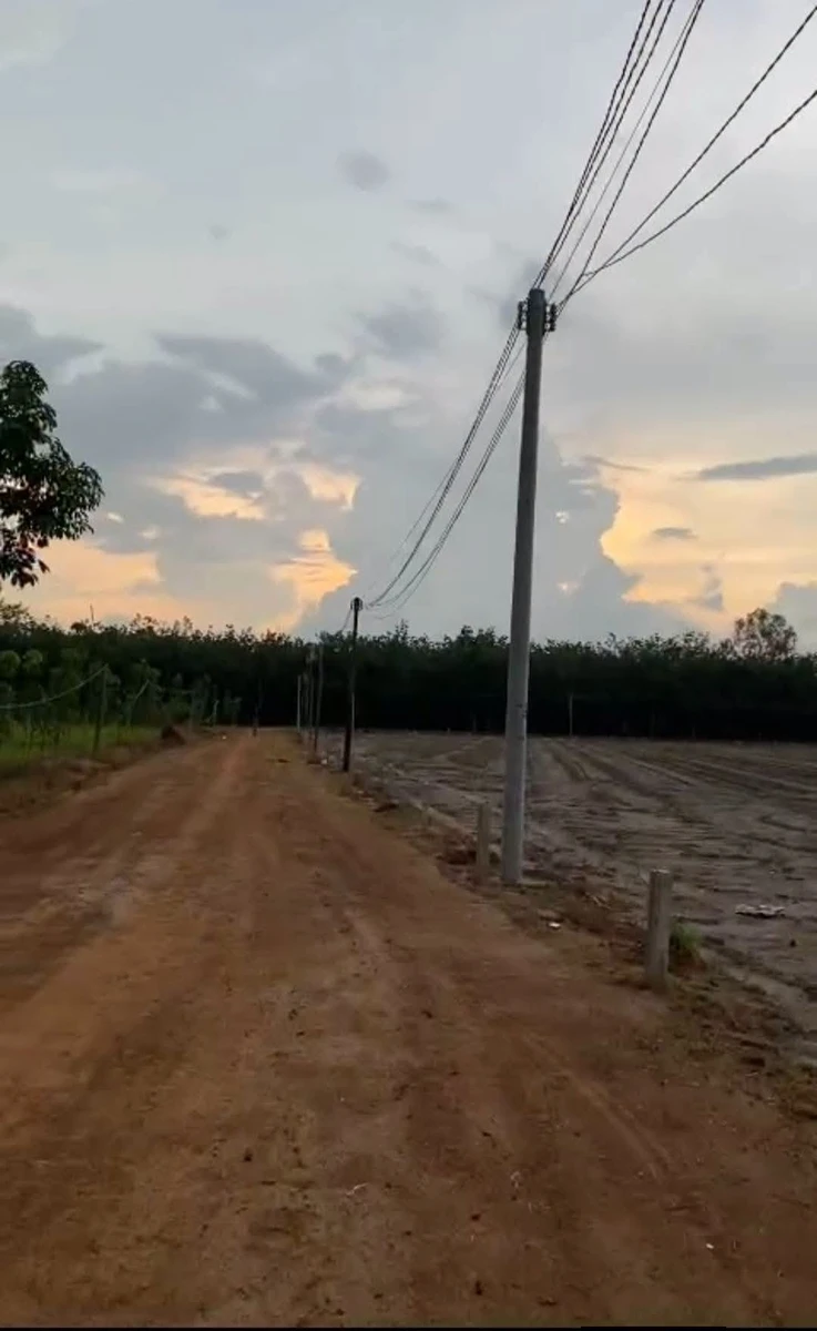 Bán đất Tân Phú 129 triệu - Ảnh thu nhỏ 3