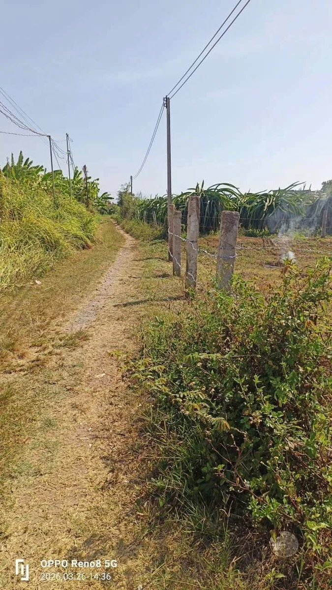 Bán lô đất nông nghiệp 739m² Hàm Hiệp 395 triệu - Ảnh thu nhỏ 4