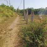 Bán lô đất nông nghiệp 739m² Hàm Hiệp 395 triệu - Ảnh thu nhỏ 4