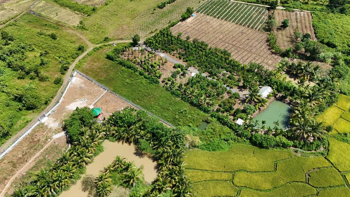 Bán 2,5 sào đất view Bà Rịa - Vũng Tàu 1 tỷ 90 - Ảnh thu nhỏ 3