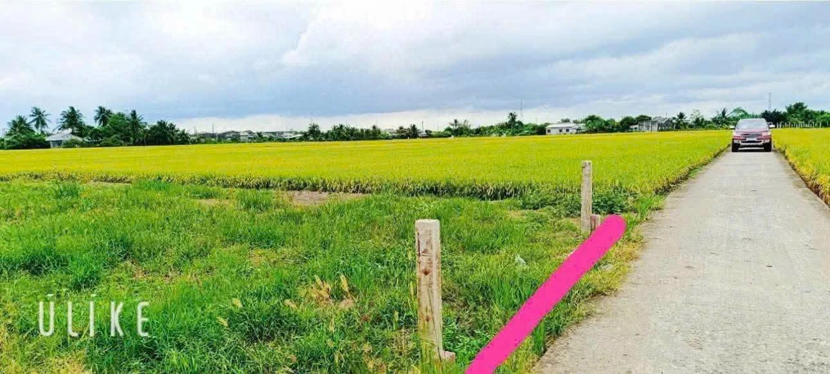 Bán đất thổ cư 145m² Tân Trụ Long An giá 380 triệu - Ảnh thu nhỏ 3