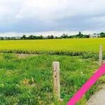 Bán đất thổ cư 145m² Tân Trụ Long An giá 380 triệu - Ảnh thu nhỏ 3
