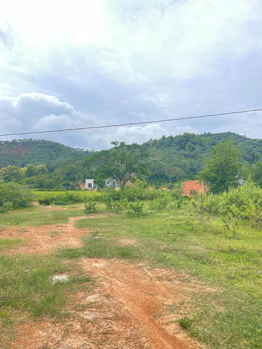 Bán đất 38x100m (3800m²) gần Bệnh viện Xuyên Á, Lâm Đồng, giá 2,3 tỷ - Ảnh thu nhỏ 4