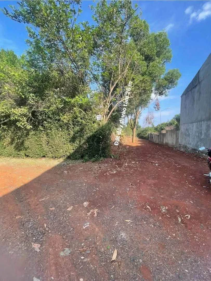 Bán lô đất 500m² Bình Chánh, giá 2 tỷ - Ảnh 1
