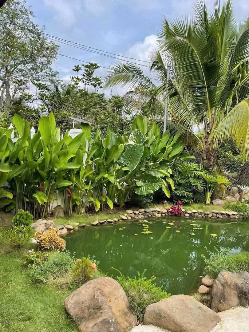 Bán 1.457m² đất vườn nghỉ dưỡng có nhà vườn, hồ cá tại Bàu Hàm 2, Thống Nhất, Đồng Nai - Ảnh thu nhỏ 3