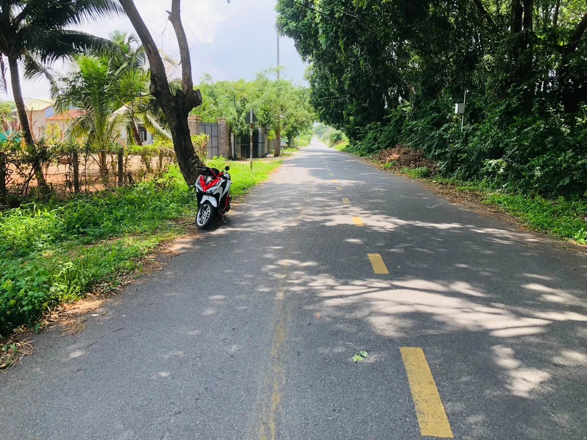 Bán nhà vườn 3 mẫu mặt tiền đường nhựa 62 gần HL2, Phường Tam Long, TP.HCM - Ảnh thu nhỏ 4