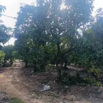 Bán nhà vườn 12.738 m2 xoài La Ngà Đồng Nai - Ảnh thu nhỏ 1