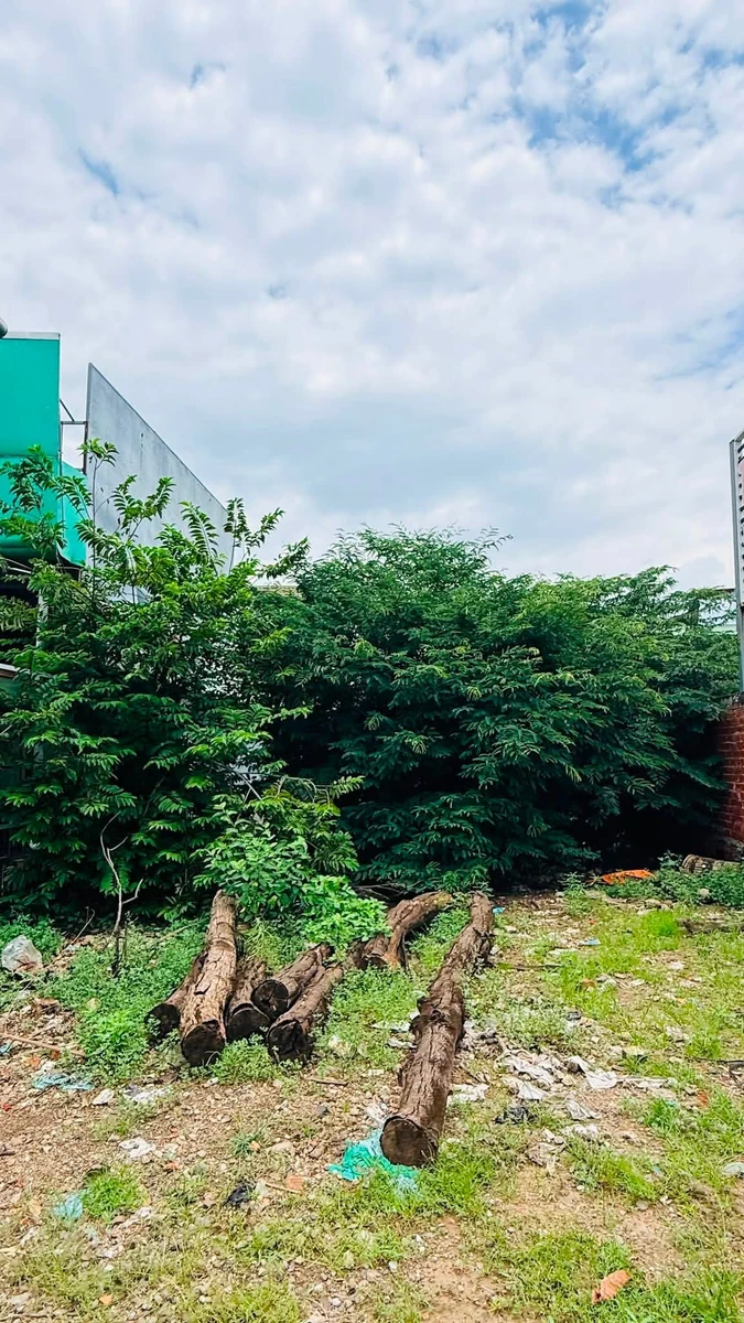 Bán đất mặt tiền Long Khánh 1.000m² 3 tỷ 600 - Ảnh thu nhỏ 3