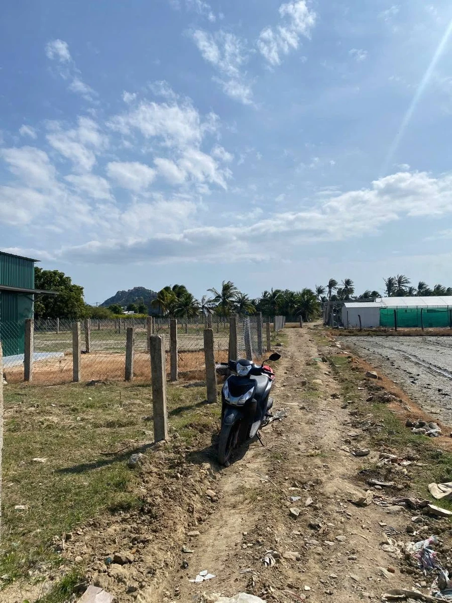 Bán đất nền 300m2 Nguyễn Trác Ninh Chữ Khánh Hòa - Ảnh thu nhỏ 4