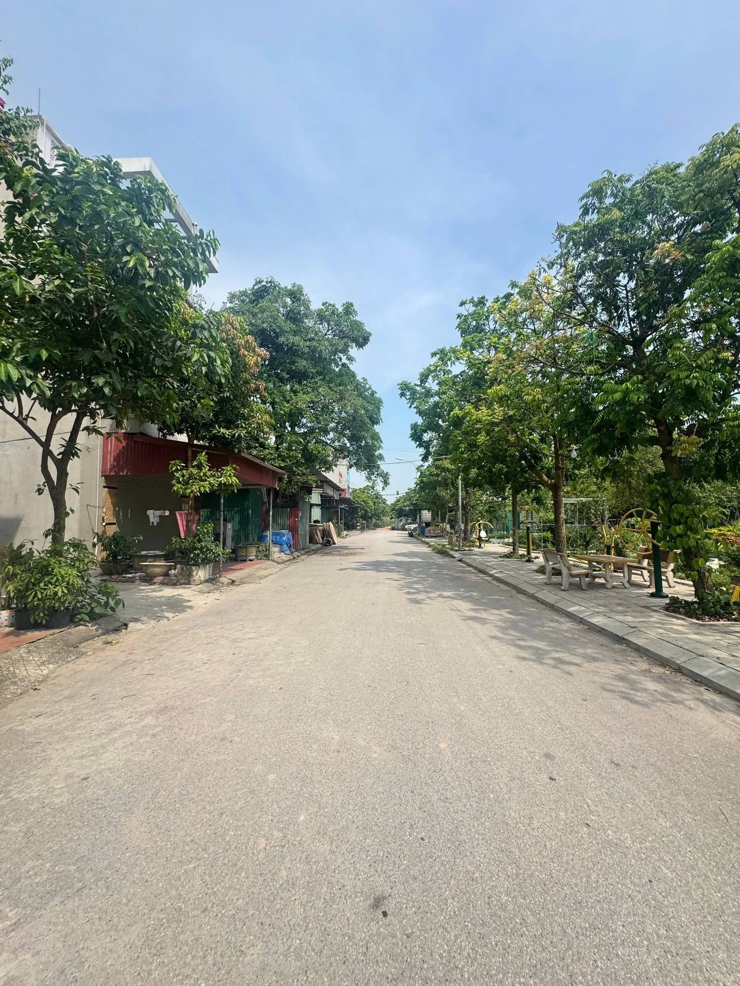 Bán lô đất 72m² view vườn hoa Xuân Ổ B, Võ Cường - Ảnh 1