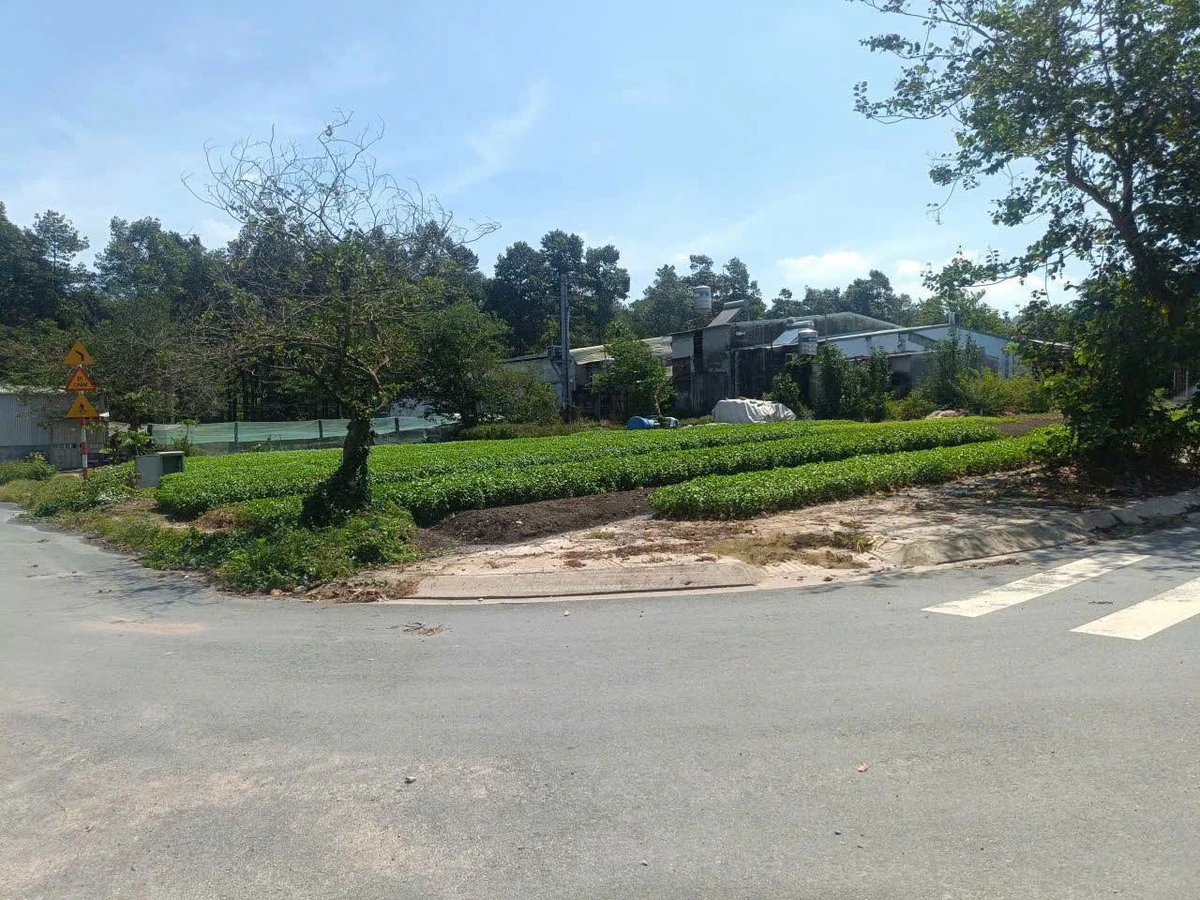Bán gấp lô đất góc 2 mặt tiền ngang 6m 97m2 khu TĐC Tân Biên 2, Biên Hòa - Ảnh thu nhỏ 3
