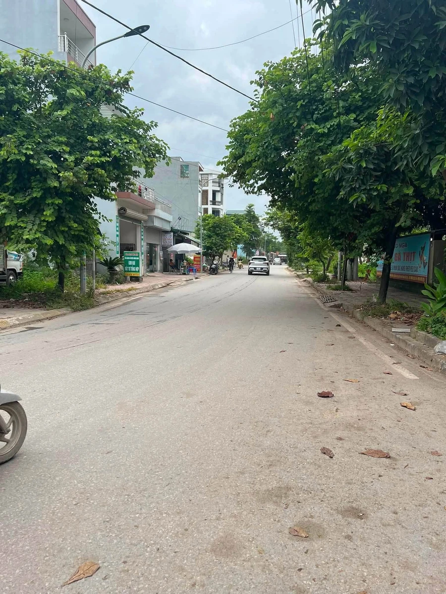 Bán lô đất 100m² khu TĐC Thanh Trường, Nhà Bè 1,75 tỷ - Ảnh thu nhỏ 3