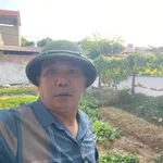 Bán đất nền 112 m2 tại Xã Nội Bài 1,6 tỷ - Ảnh thu nhỏ 1