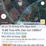 Bán 1000m² mặt tiền đường bê tông, Định Quán, Đồng Nai - Ảnh thu nhỏ 2