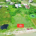 Bán đất vườn 1.426m² view hồ Cần Giờ - Ảnh thu nhỏ 2