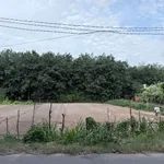 Bán gấp đất chính chủ khu Bình Mỹ - Vĩnh Tân gần VSIP 2, Bình Dương - Ảnh thu nhỏ 4