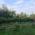 Bán biệt thự sân vườn 2553m2 mặt tiền Tỉnh Lộ 7, xã Thái Mỹ, Củ Chi, giá 13,5 tỷ - Ảnh thu nhỏ 2