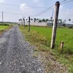 Bán 1.000m2 đất thổ cư và đất lúa gần ngã tư Lạc Tấn, giá 1,25 tỷ - Ảnh thu nhỏ 2