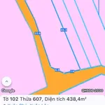 Bán đất 438m2 Xuân Phú Bình Chánh, giá trên 700 triệu - Ảnh thu nhỏ 1